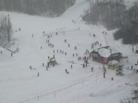 Вид с трассы 11