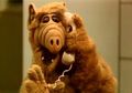 Аватар ALF