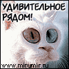 Аватар Rom@n
