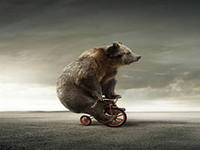 Аватар RufuS