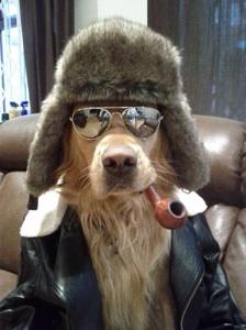 Аватар Egor