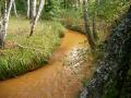 речка с чистой водой