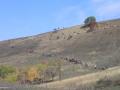 DH 08-10-2006