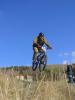 DH 08-10-2006