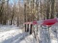 "Первый снег", 03.12.2006, до и после!