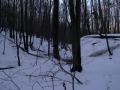 "Первый снег", 03.12.2006, до и после!