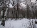 "Первый снег", 03.12.2006, до и после!