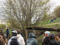 Picture 013.jpg
