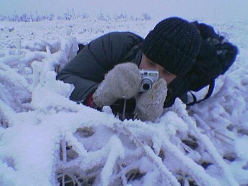 Без альбома