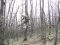 Без альбома