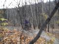 Без альбома
